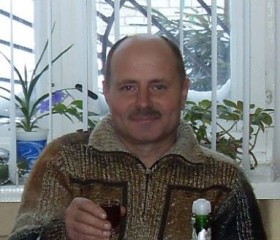 Анатолий, 61 год, Светлагорск