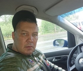 Илья Щукин, 54 года, Мурманск