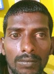 Sekar Sekar, 28 лет, Tirunelveli