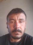 Kamron, 36 лет, Новосибирск