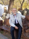 Сергей Стрельц, 66 лет, Новосибирск