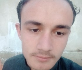 Rashid Afridi, 19 лет, مردان