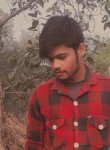 Amir, 18 лет, Agra