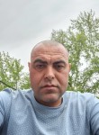 Додик - Томск