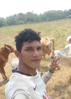 Jesu alberto, 29, República de Colombia, Bucaramanga
