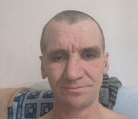 Николай, 47 лет, Новосибирск