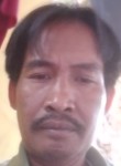 Munar, 37 лет, Kota Payakumbuh