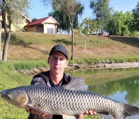 Ricsi, 26, Dunajska Streda