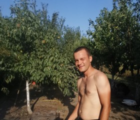 Роман, 35 лет, Таганрог