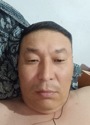 Нурлан Мамбетов, 45, Кыргыз Республикасы, Бишкек