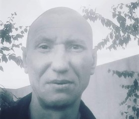 Сергей Вороненко, 42 года, Кропивницький