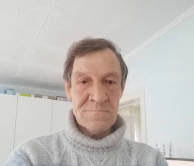Viktor, 66, Karasuk