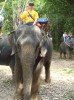 алекс, 54 - Только Я Национальный парк Кхао Лак, Таиланд