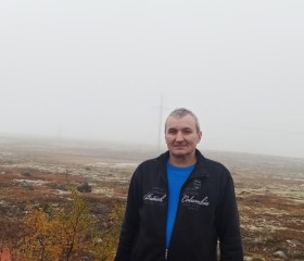 Андрей, 42 года, Североморск