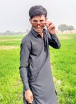 Samandar Ali, 20 лет, سکھر
