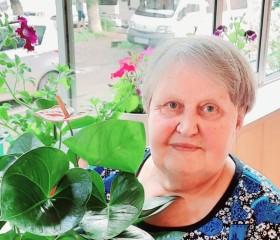 Нина, 69 лет, Благовещенск (Амурская обл.)