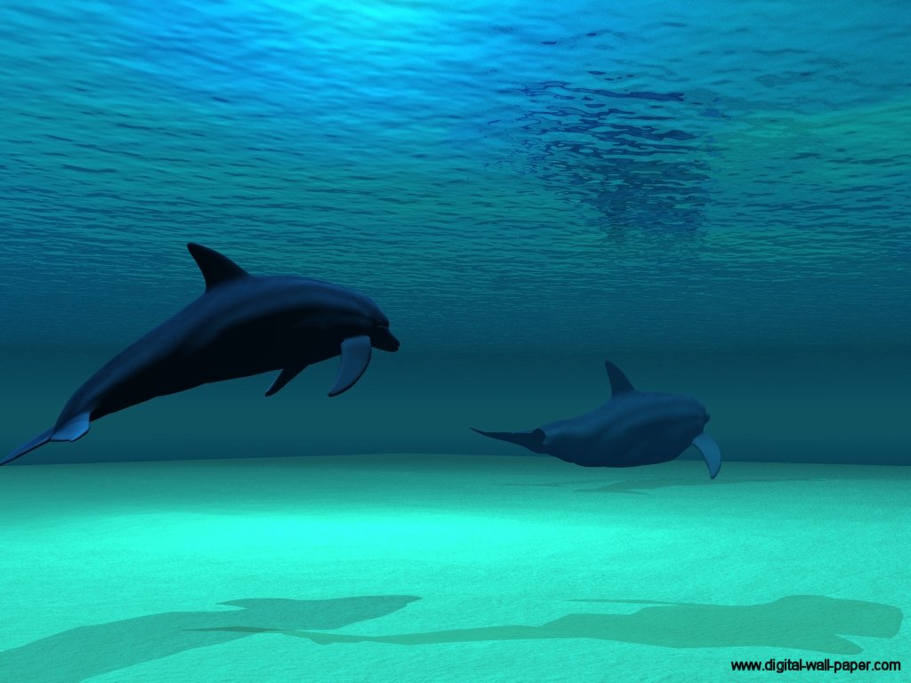 Дельфины уплывают в океан слушать. Дельфины уплывают. Дельфин на глубине. Дельфины под водой. Дельфин под водой.