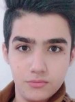 abood, 23 года, صنعاء