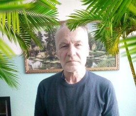Сергей, 62 года, Дальнереченск