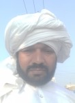 Ali Mudsair, 41 год, لاہور
