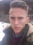 Ionut, 24 года, Sălişte-de-Sus