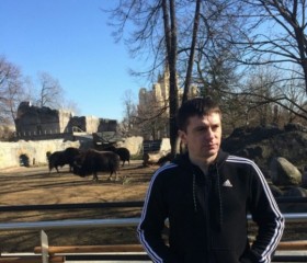 Дмитрий, 42 года, Котельники