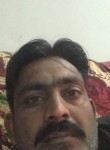 Naveed, 36 лет, اسلام آباد