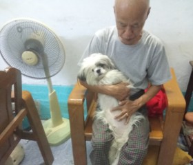 Shwelamin, 70, Yangon