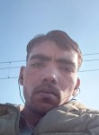 Hasan, 21 год, Jalandhar