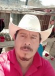 Arturo, 47 лет, Jonacatepec