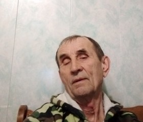 Валерий, 71 год, Ижевск