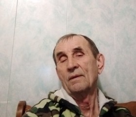 Валерий, 72 года, Ижевск