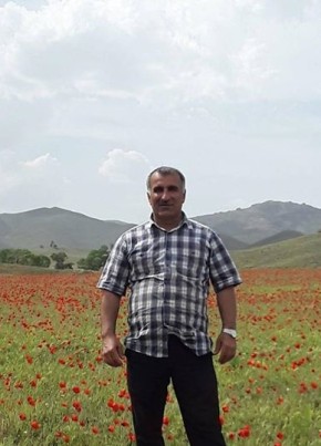 Миша, 52, Azərbaycan Respublikası, Lankaran