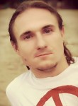 Aleksey, 33, Zheleznodorozhnyy (MO)