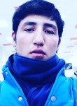 Murodbek, 31 год, Краснодар