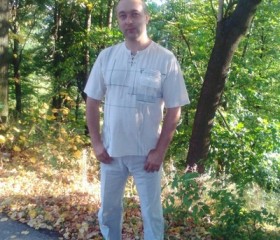 Дмитрий, 41 год, Новоград-Волинський