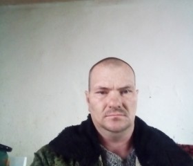 Михаил, 44 года, Егорлыкская