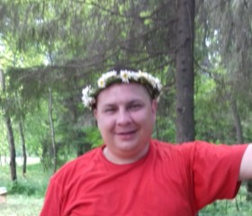 Денис, 41 год, Пермь
