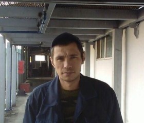 Анатолий, 43 года, Гиагинская