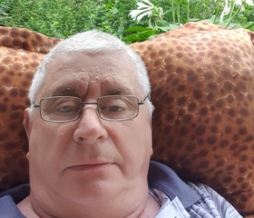 Георгий, 67 лет, Воронеж