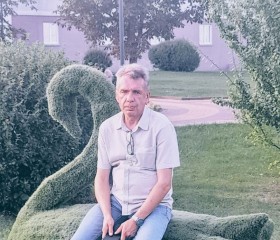 Владимир, 52 года, Брянск