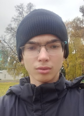 Денис, 18, Россия, Кшенский
