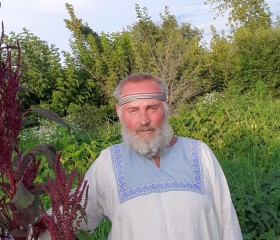Николай, 61 год, Хороль