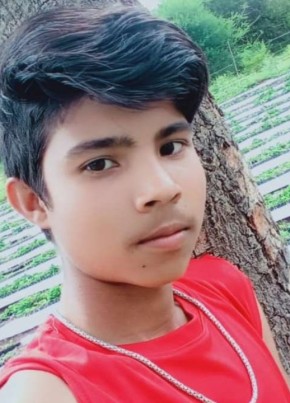 Harshl Pawar, 19, India, Wai