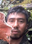 Jakson, 28 лет, Kathmandu