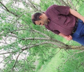رائد, 31, East Jerusalem
