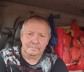 Pavel Poludin, 63, Golynki