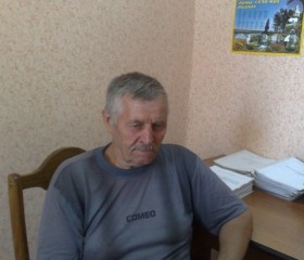 Григорий, 77 лет, Москва