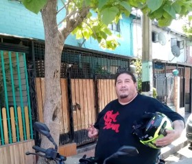 Gordito marco, 46, Santiago