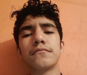Gustavo lñ, 20 лет, Tecoman